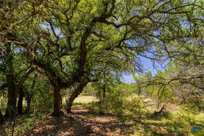 1806 County Road 180, Purmela, TX 76566 - Photo 10