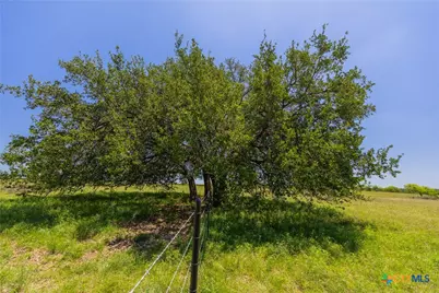 1806 County Road 180, Purmela, TX 76566 - Photo 8