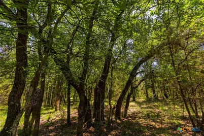 1806 County Road 180, Purmela, TX 76566 - Photo 16