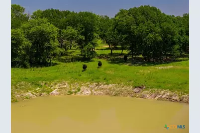 1806 County Road 180, Purmela, TX 76566 - Photo 2