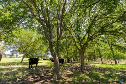 1806 County Road 180, Purmela, TX 76566 - Photo 4