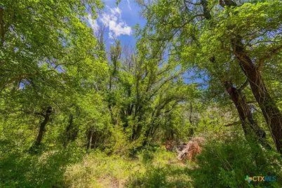 1806 County Road 180, Purmela, TX 76566 - Photo 12