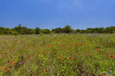 1806 County Road 180, Purmela, TX 76566 - Photo 32