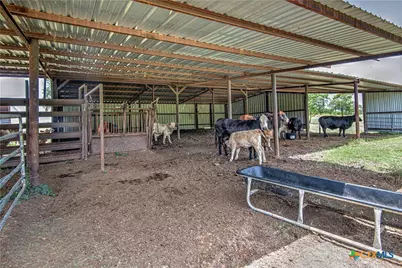 2162 County Road 304, Rockdale, TX 76567 - Photo 38