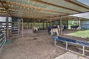 2162 Co Rd 304, Rockdale, TX 76567 - Photo 38