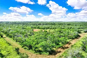 1591 County Rd 476, Stockdale, TX 78160 - Photo 8