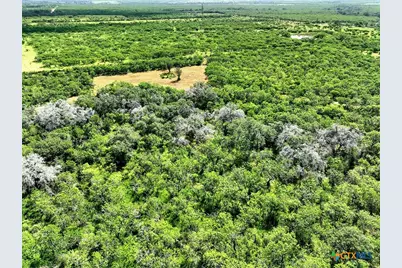1591 County Road 476, Stockdale, TX 78160 - Photo 6