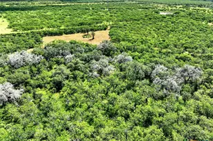 1591 County Rd 476, Stockdale, TX 78160 - Photo 6