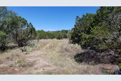 422 Ash Juniper Drive, New Braunfels, TX 78132 - Photo 6