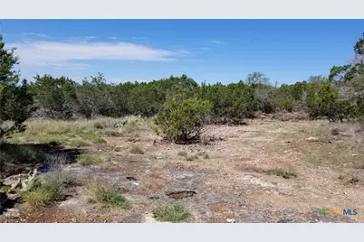 422 Ash Juniper Drive, New Braunfels, TX 78132 - Photo 4
