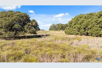 350 Yellowstone Drive, Oglesby, TX 76561 - Photo 4