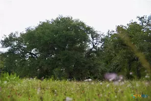 Tbd Fm 622, Goliad, TX 77963 - Photo 10