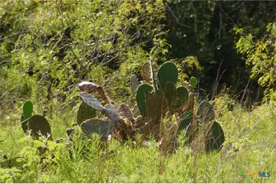 Tbd Fm 622, Goliad, TX 77963 - Photo 16