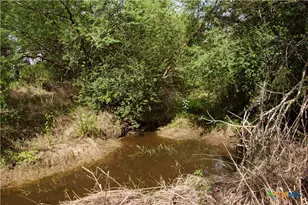 Tbd Fm 622, Goliad, TX 77963 - Photo 6