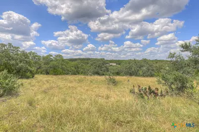 1147 Mission Way, Canyon Lake, TX 78133 - Photo 14