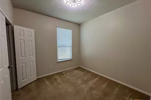 338 Mistflower, New Braunfels, TX 78130 - Photo 22