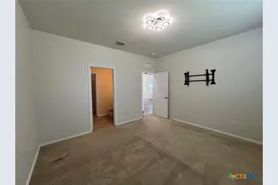338 Mistflower, New Braunfels, TX 78130 - Photo 14