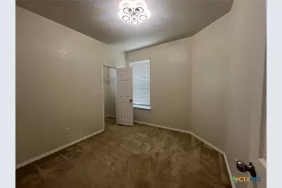 338 Mistflower, New Braunfels, TX 78130 - Photo 24
