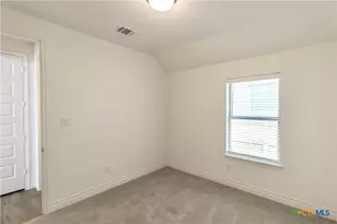 311 Balaton Lake, New Braunfels, TX 78130 - Photo 16