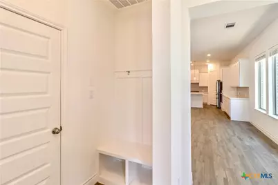 311 Balaton Lake, New Braunfels, TX 78130 - Photo 14
