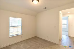 311 Balaton Lake, New Braunfels, TX 78130 - Photo 20