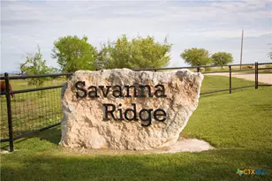 1843 Savanna Ridge Ranch Rd, Lometa, TX 76853 - Photo 12