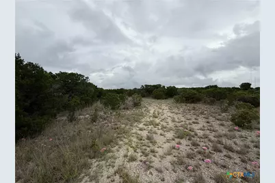 13272 Fm 2484, Salado, TX 76571 - Photo 10
