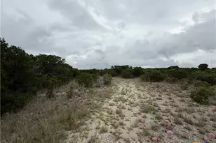 13272 FM2484, Salado, TX 76571 - Photo 10