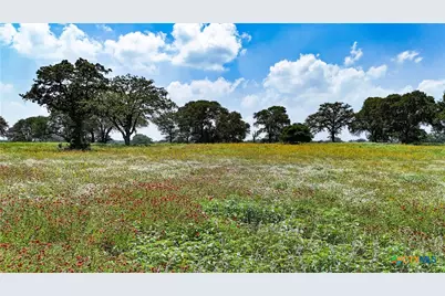 Tract 1 County Road 442, Harwood, TX 78632 - Photo 8