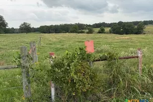2609 Co Rd 216, Giddings, TX 78942 - Photo 10