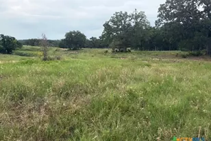 2609 Co Rd 216, Giddings, TX 78942 - Photo 18