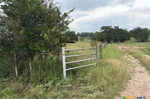 2609 Co Rd 216, Giddings, TX 78942 - Photo 4
