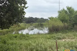 2609 Co Rd 216, Giddings, TX 78942 - Photo 20