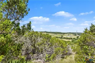 3520 Cr 2207, Lampasas, TX 76550 - Photo 44