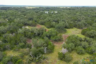2090 Wegner Rd, New Braunfels, TX 78132 - Photo 10
