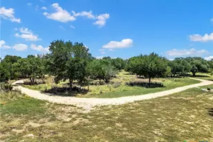 1614 Cheyenne Pass, Salado, TX 76571 - Photo 40