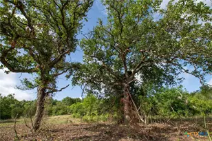 101 FM1047, Evant, TX 76880 - Photo 22