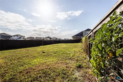 3229 Mountain Mint, New Braunfels, TX 78130 - Photo 28
