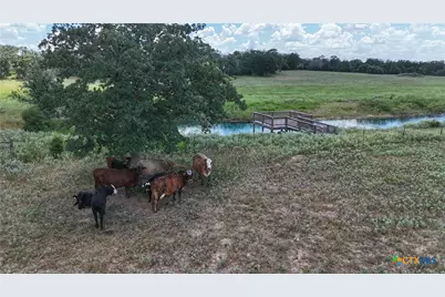 Tract 5 State Highway 304, Harwood, TX 78632 - Photo 6