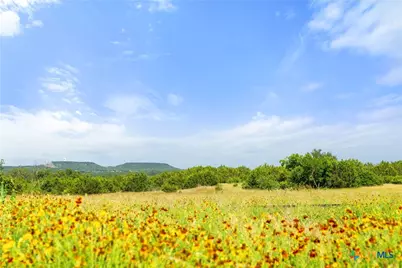 205 Private Road 4968, Kempner, TX 76539 - Photo 1