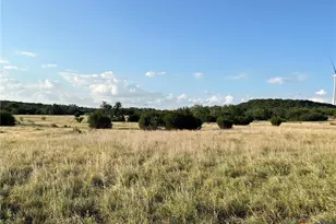 943 US Hwy 183, Goldthwaite, TX 76844 - Photo 12