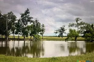 1351 Co Rd 320, Granger, TX 76530 - Photo 4