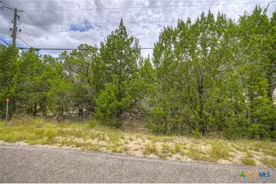 1460 Canyon Lake Drive, Canyon Lake, TX 78133 - Photo 6