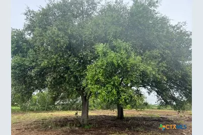 248 Davis Lane, Victoria, TX 77905 - Photo 2