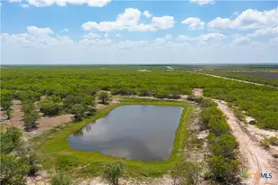 0000 Hwy 44, Freer, TX 78357 - Photo 12