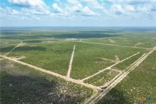 0000 Hwy 44, Freer, TX 78357 - Photo 28