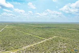 0000 Hwy 44, Freer, TX 78357 - Photo 18