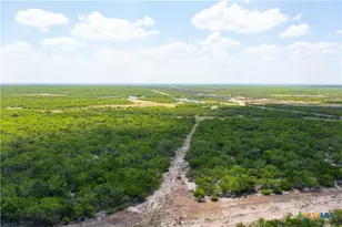 0000 Hwy 44, Freer, TX 78357 - Photo 40