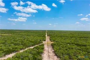 0000 Hwy 44, Freer, TX 78357 - Photo 42