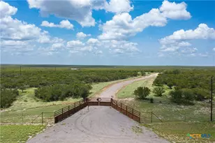 0000 Hwy 44, Freer, TX 78357 - Photo 2